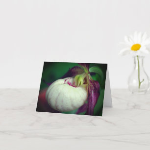 Weißer Frauenschuh-Orchideen-Blumenfotografie-Noti Karte