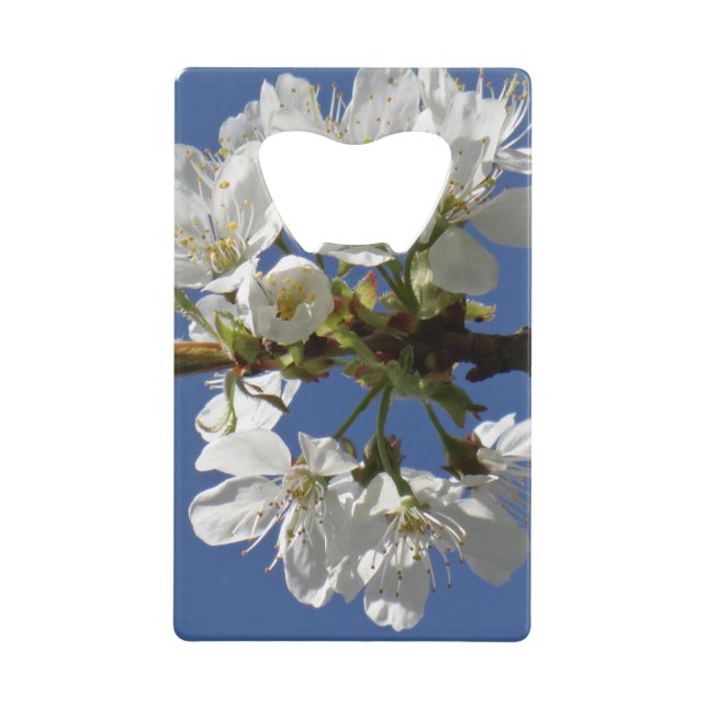 Weißer Frühlingsblut Geldbeutel Flaschenöffner (Vorderseite)
