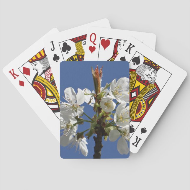 Weißer Frühlingsblut Spielkarten (Rückseite)