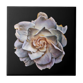 Weißer Garten Schwarzer Hintergrund Fliese