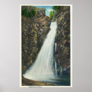Weißer Gebirgsstaatlicher Wald Poster