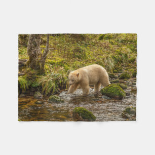Weißer Geistbär jagt auf Riordan Creek nach Fische Fleecedecke