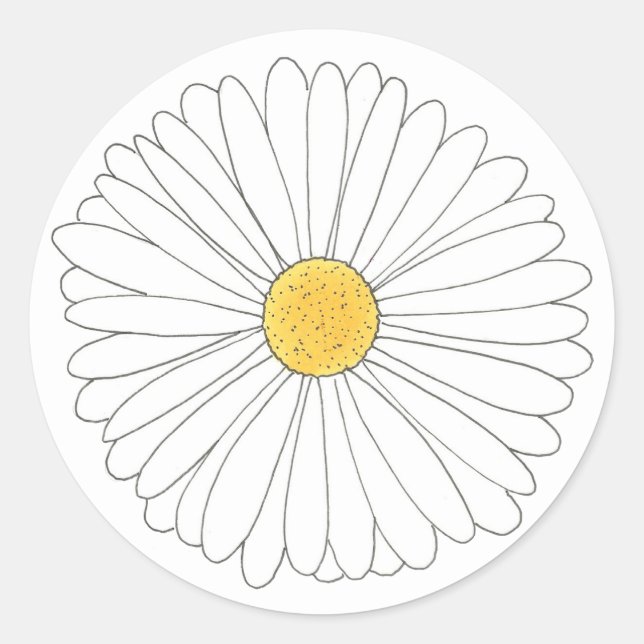 Weißer Gelber Daisy Blossom Blumengarten Frühjahr Runder Aufkleber (Vorderseite)