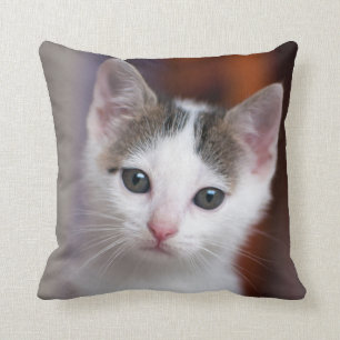 Weißer gepunkteter Kitty Kissen