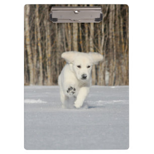 Weißer Golden Retriever Welpe im Schnee Klemmbrett