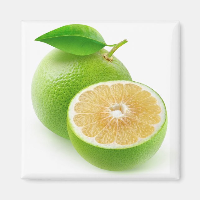 Weißer Grapefruit Magnet (Vorne)
