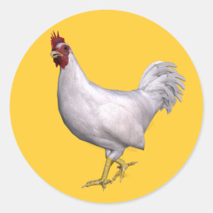 Weißer Hahn Runder Aufkleber
