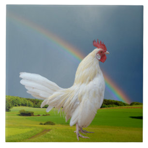 WEISSER HAHN UNTER EINEM REGENBOGEN FLIESE