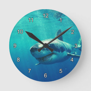 WEISSER HAI 1 RUNDE WANDUHR