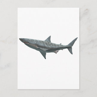 Weißer Hai Postkarte