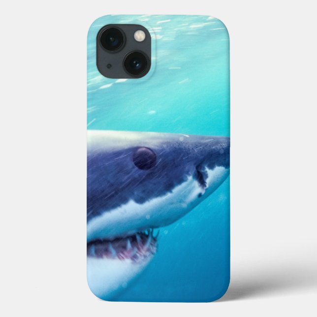 Weißer Hai| Südafrika Case-Mate iPhone Hülle (Rückseite)