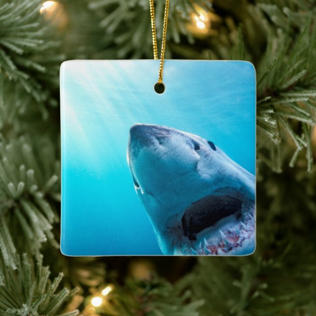 Weißer Hai | Südafrika Keramikornament (Baum)