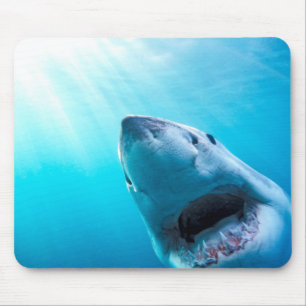 Weißer Hai Südafrika Mousepad