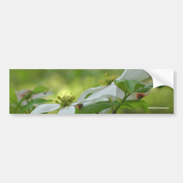 Weißer Hartriegel-Blumen-Foto-Autoaufkleber Autoaufkleber (Vorne)