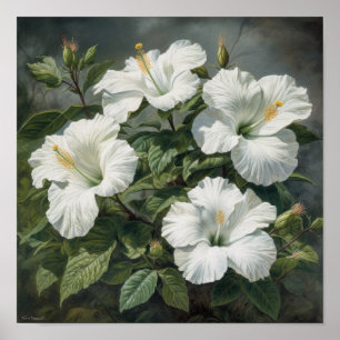 Weißer Hibiskus-Blüten-Kunstposter Poster