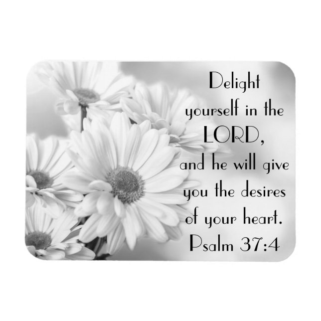 Weißer Himmelbett Blume Bibel Vers Psalm 37:4 Magn Magnet (Horizontal)