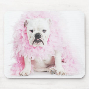 weißer Hintergrund, weiße Bulldogge, rosa Feder Mousepad