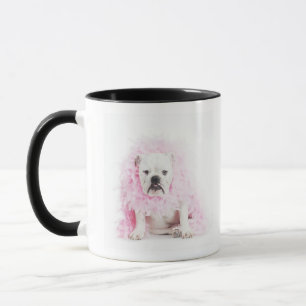 weißer Hintergrund, weiße Bulldogge, rosa Feder Tasse