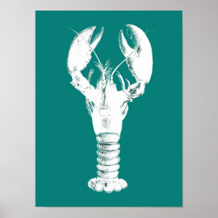 Weißer Hummer auf Türkis / Aquamarin Poster