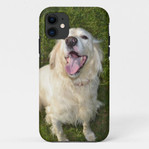 Weißer Hund title_seo2