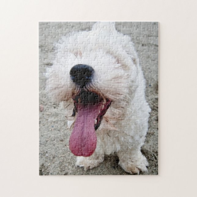 Weißer Hund des glücklichen Welpen, malteese, (Vertikal)
