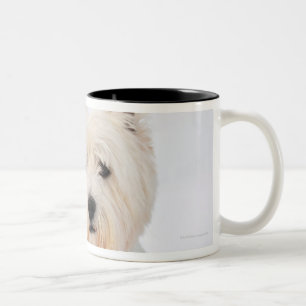 Weißer Hund in der Kleidung im Schnee Zweifarbige Tasse