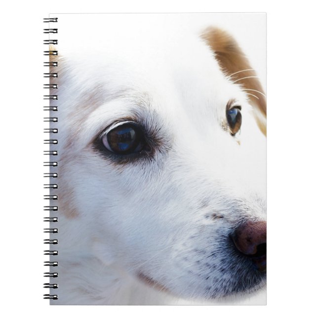 Weißer Hund mit faulen Augen, BESTE FREUNDIN von T Notizblock (Vorderseite)