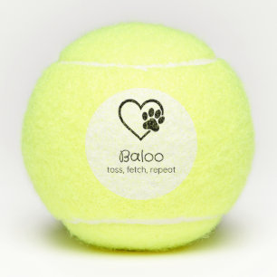 Weißer Hund Name Tennisball 'werfen, apportieren, Tennisbälle