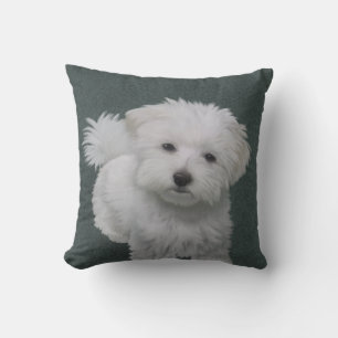 Weißer Hund-Portrait Kissen