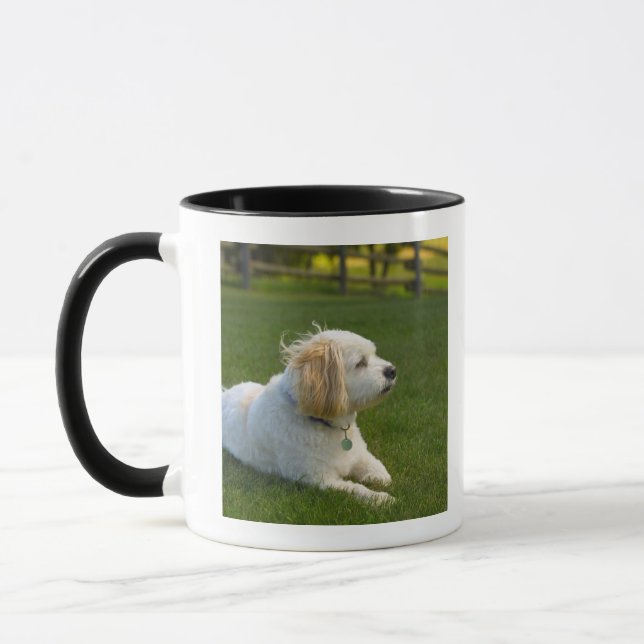 Weißer Hund Tasse (Links)