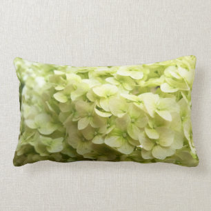 Weißer Hydrangea-Blumenhintergrund Lendenkissen