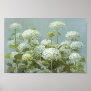 Weißer Hydrangea-Garten Poster