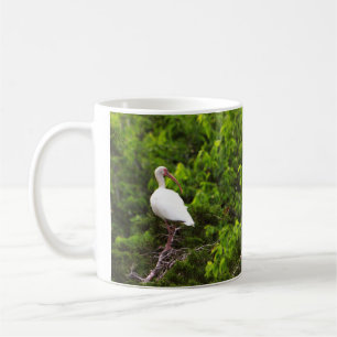 Weißer Ibis-Vogel-Foto-Becher Kaffeetasse