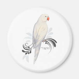 Weißer Inder Ringneck Papagei Magnet