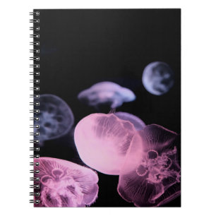 WEISSER JELLYFISH IN WASSER MIT SCHWARZEM HINTERGR NOTIZBLOCK