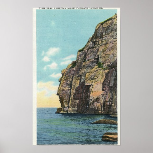Weißer Kopf im Hafen von Portland Poster (Vorne)