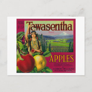 Weißer Lachs, Washington - Tawasentha Apple Labe Postkarte