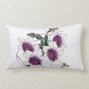 Weißer lila Mittelclematis-lumbales Innenkissen Lendenkissen