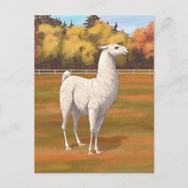 Weißer Llama im Herbst Postkarte (Vorderseite)