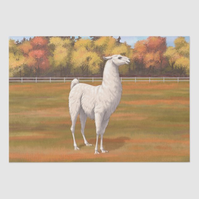 Weißer Llama im Herbst Seidenpapier (Vorderseite)