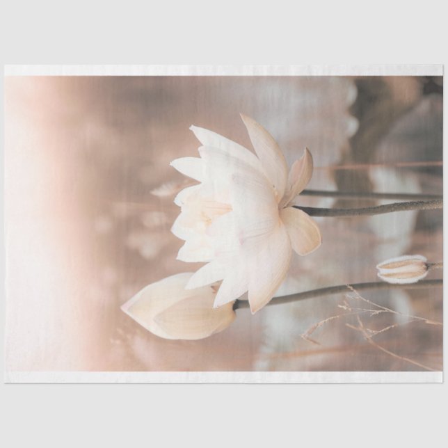 Weißer Lotus, Rose Pink, Pampas Grass, schmiedeeis Seidenpapier (Vorderseite)