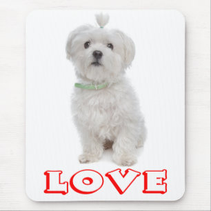 Weißer Malteser-Welpe Hund Canine Mousepad