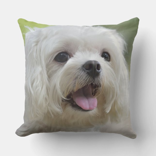 Weißer maltesischer Hund Kissen (Vorderseite)