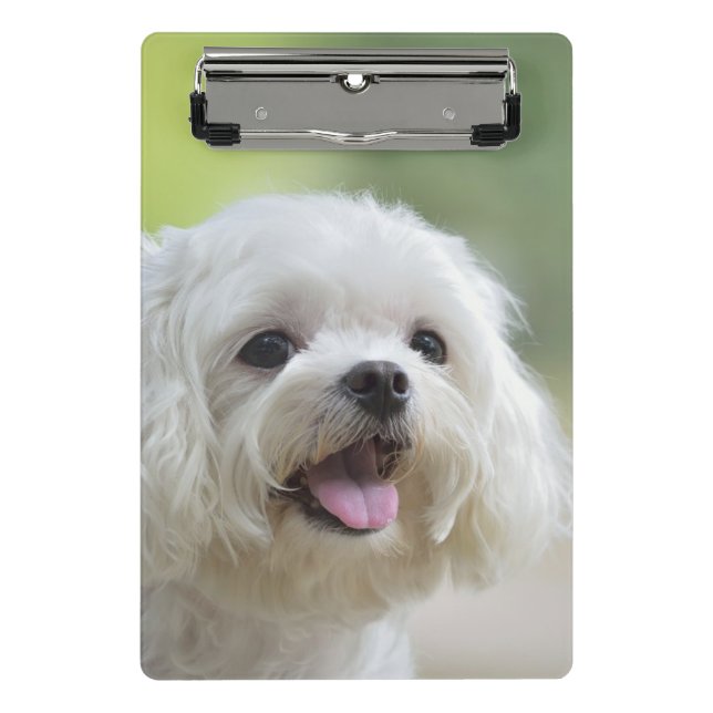 Weißer maltesischer Hund Mini Klemmbrett (Vorderseite)