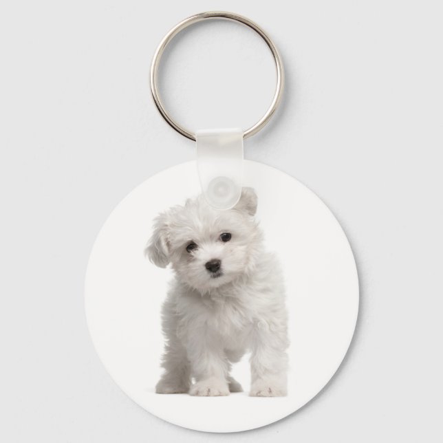 Weißer maltesischer Welpenhund Liebe Custom Schlüs Schlüsselanhänger (Vorderseite)
