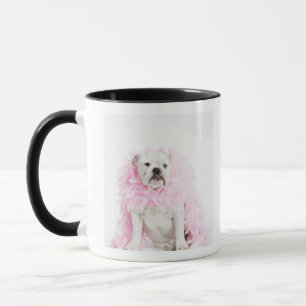 Weißer männlicher Hund mit rosa Boa Tasse