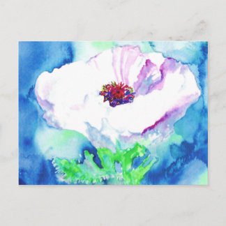 Weißer Mohn. Postkarte