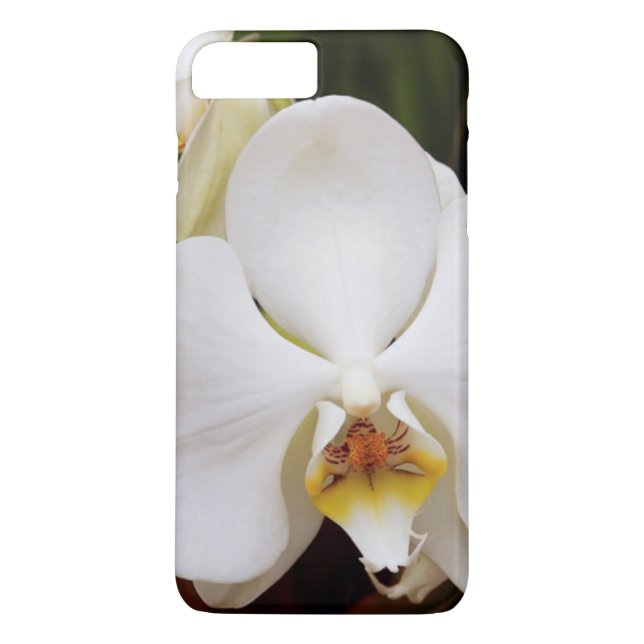 Weißer Mondorchid (Phalaenopsis Aphrodite) Case-Mate iPhone Hülle (Rückseite)
