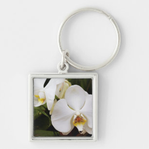 Weißer Mondorchid (Phalaenopsis Aphrodite) Schlüsselanhänger