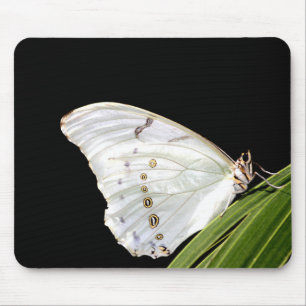 Weißer Morpho-Schmetterling Mousepad